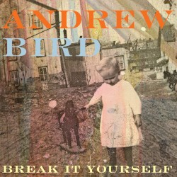 Break It Yourself cover art