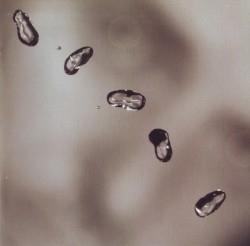 Up cover art Up cover art