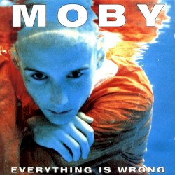 Everything is Wrong cover art Everything is Wrong cover art