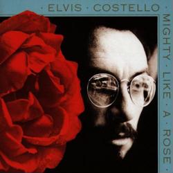 Mighty Like A Rose cover art Mighty Like A Rose cover art