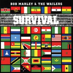 Survival cover art